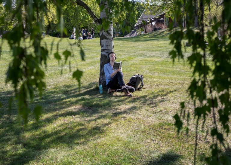 En kille sitter och läser vid ett träd på campus Frescati.