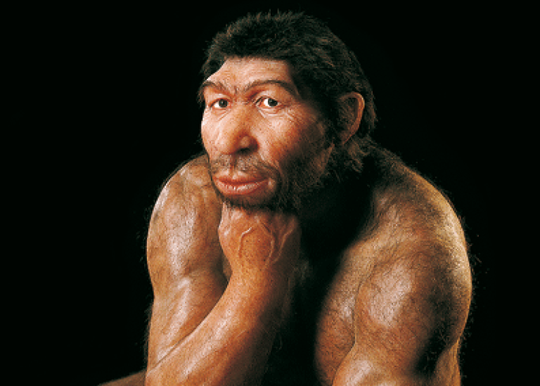 Genrebild: Rekonstruktion av en Homo neanderthalensis.