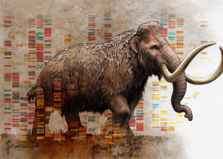 These Extinct Elephants Were Neanderthals' 'Biggest Calorie Bombs