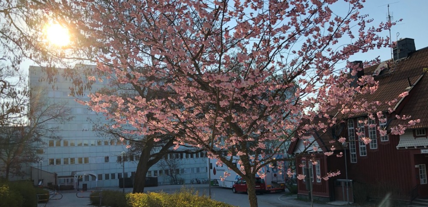 miljö