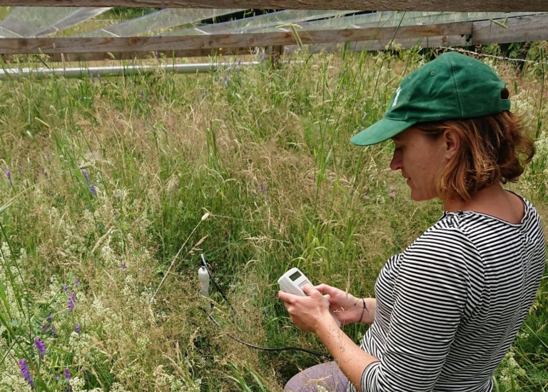 Nina Roth is measuring soil moisture in the experiment. Photo: Sara Cousins.