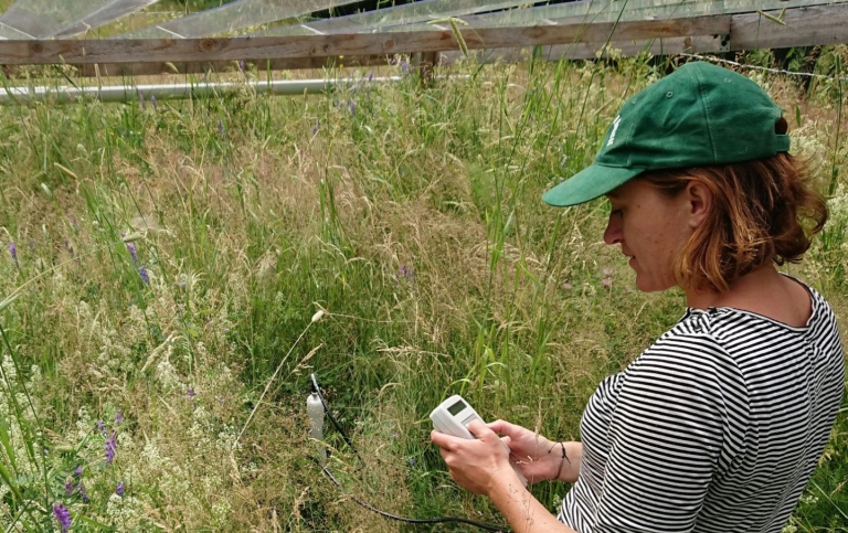 Nina Roth is measuring soil moisture in the experiment. Photo: Sara Cousins.