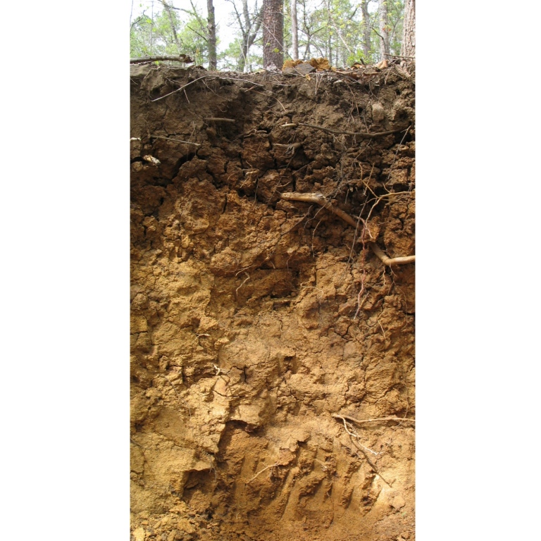 Soil profile