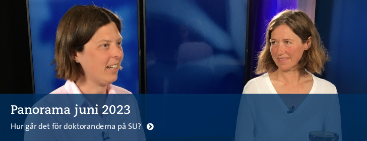 Senaste Panoramaavsnittet