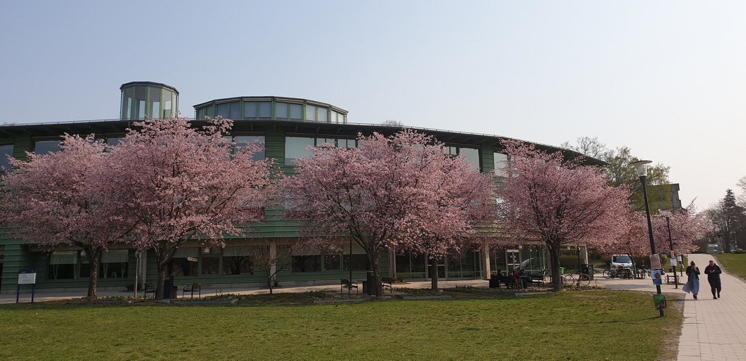 Geoscience building during Spring.