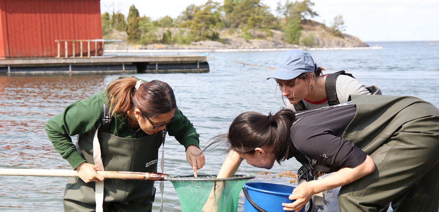 The students net for amphipods
