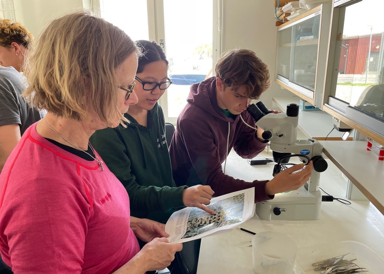 Students examining embryonic development of amphipods at the Askö laboratory