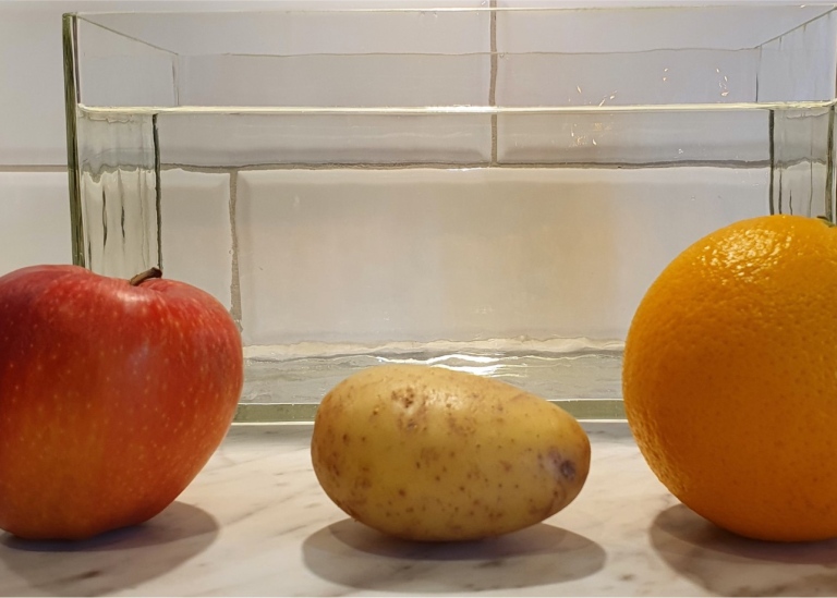 Äpple, potatis och apelsin framför ett plastakvarium med vatten.