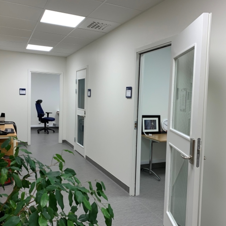 Corridor with doors into offices. A plant in the foreground.