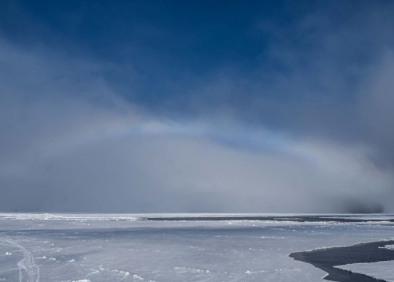 Bog bows in the Arctic