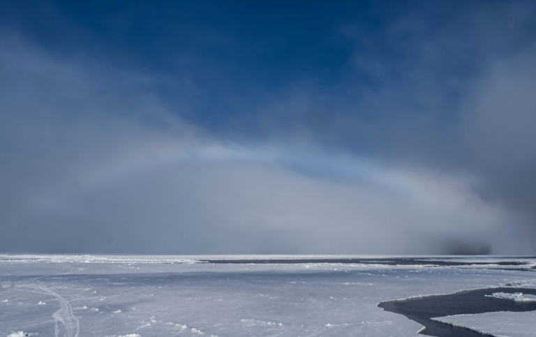 Bog bows in the Arctic