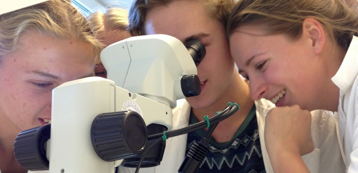 Skolelever kollar i ett mikroskop