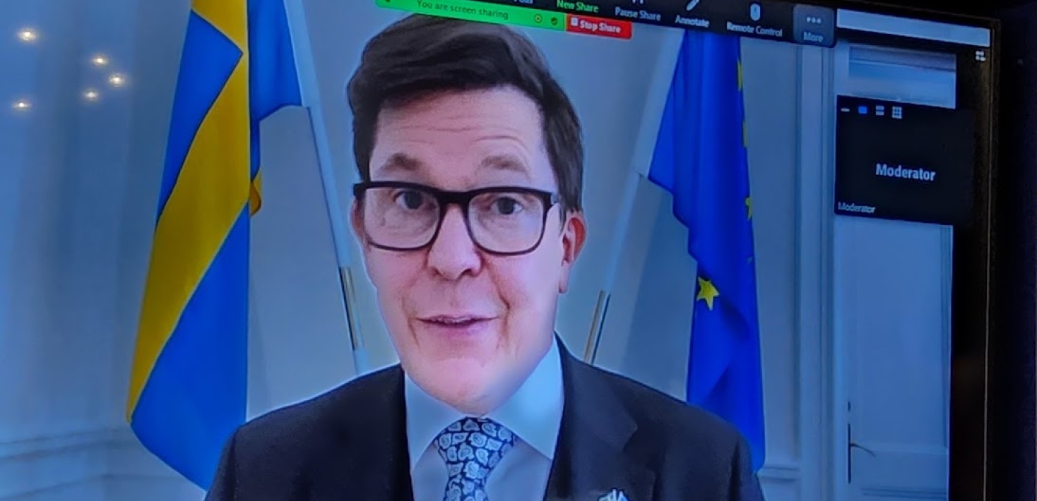 Photo of the President of the Swedish Parliament via Zoom