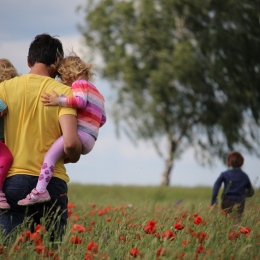 Man carrying two girls on field of red petaled flower