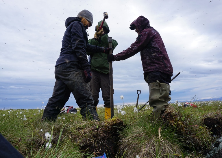 A team coring permafrost using a steel pipe and sledgehammer along the Yukon coast in Arctic Canada.