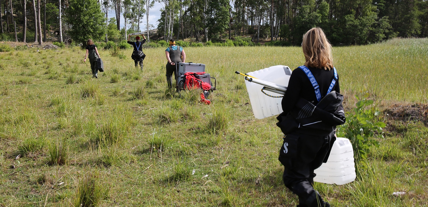 Projektdeltagare bär ut mycket utrustning till strandängen där prover ska tas.