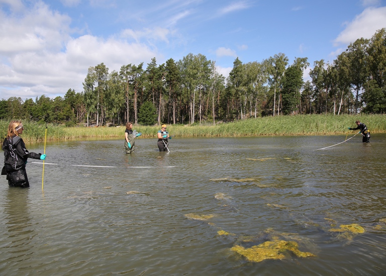 Team members lay out the transect for the sediment and water samples