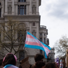 the trans flag