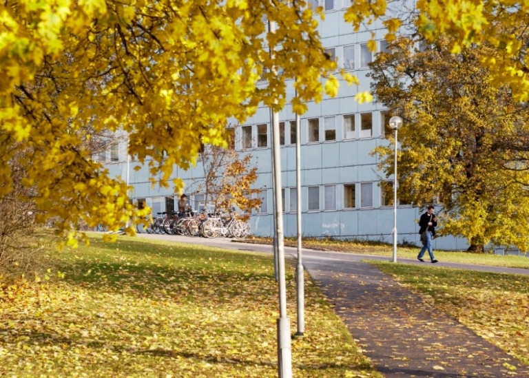 Höst vid Södra huset, Stockholms universitet