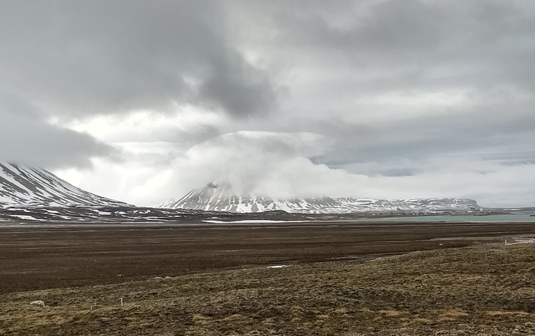 Tundra near the Ny-Ålesund village