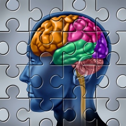 Pussel hjärnan, jigsaw puzzle, brain