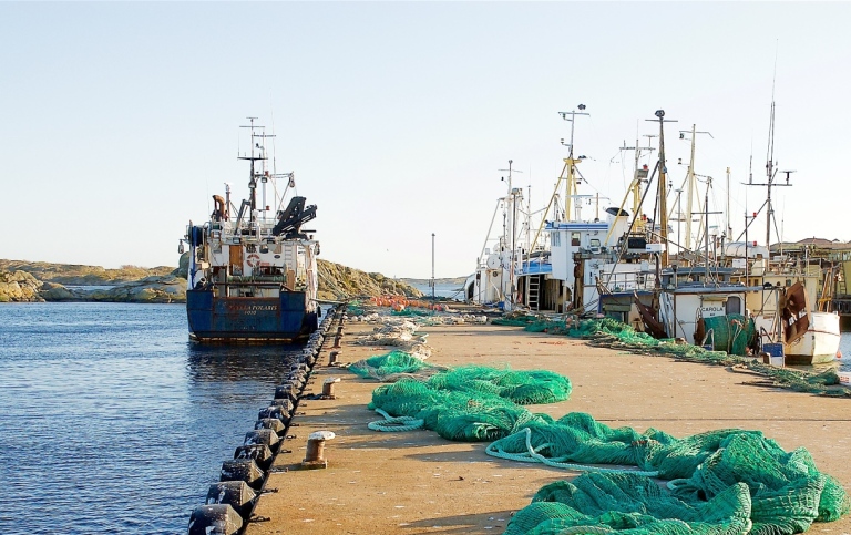 Fiskebåtar i hamn. Nät ligger på bryggan.