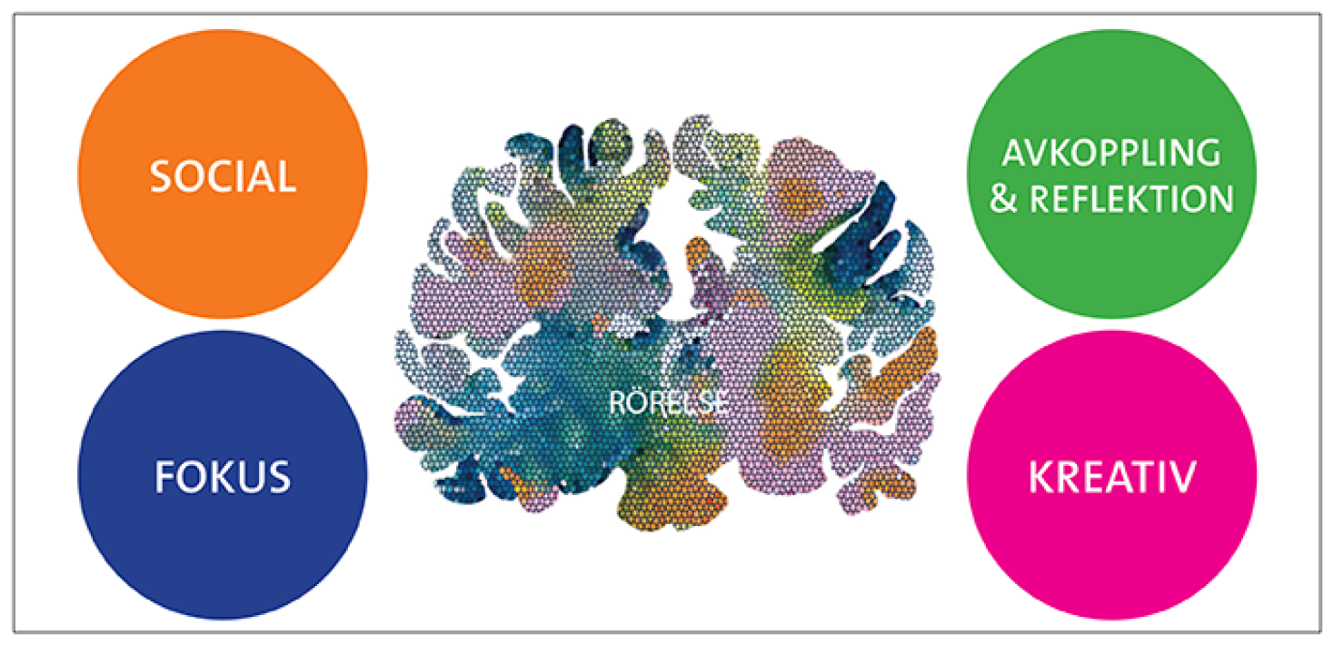 Färgbeskrivning av zonerna: fokus - blått, socialt - orange, kretivitet - cerise, avkoppling - grönt