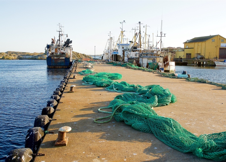 Fiskebåtar i hamn. nät ligger på bryggan. Foto: Tommy Svensson/Mostphotos