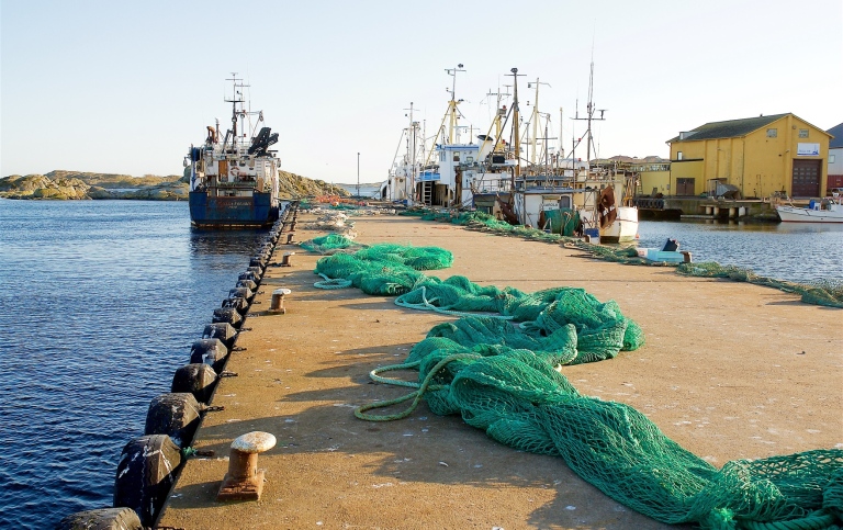 Fiskehamn