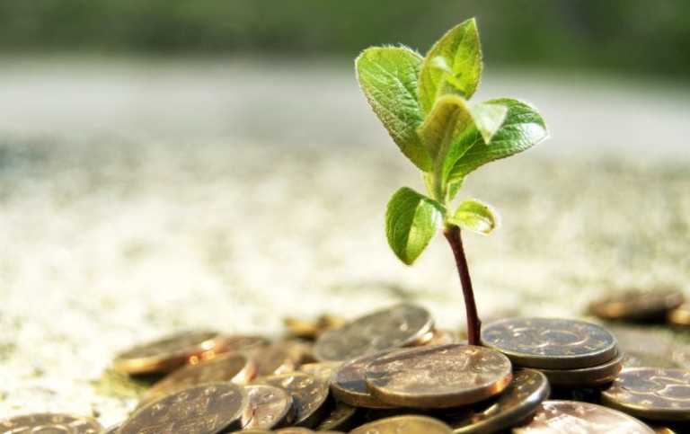 plants growing out of coins