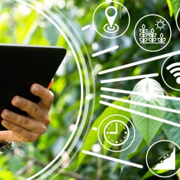 Woman stands among plants and holds a reading tablet.