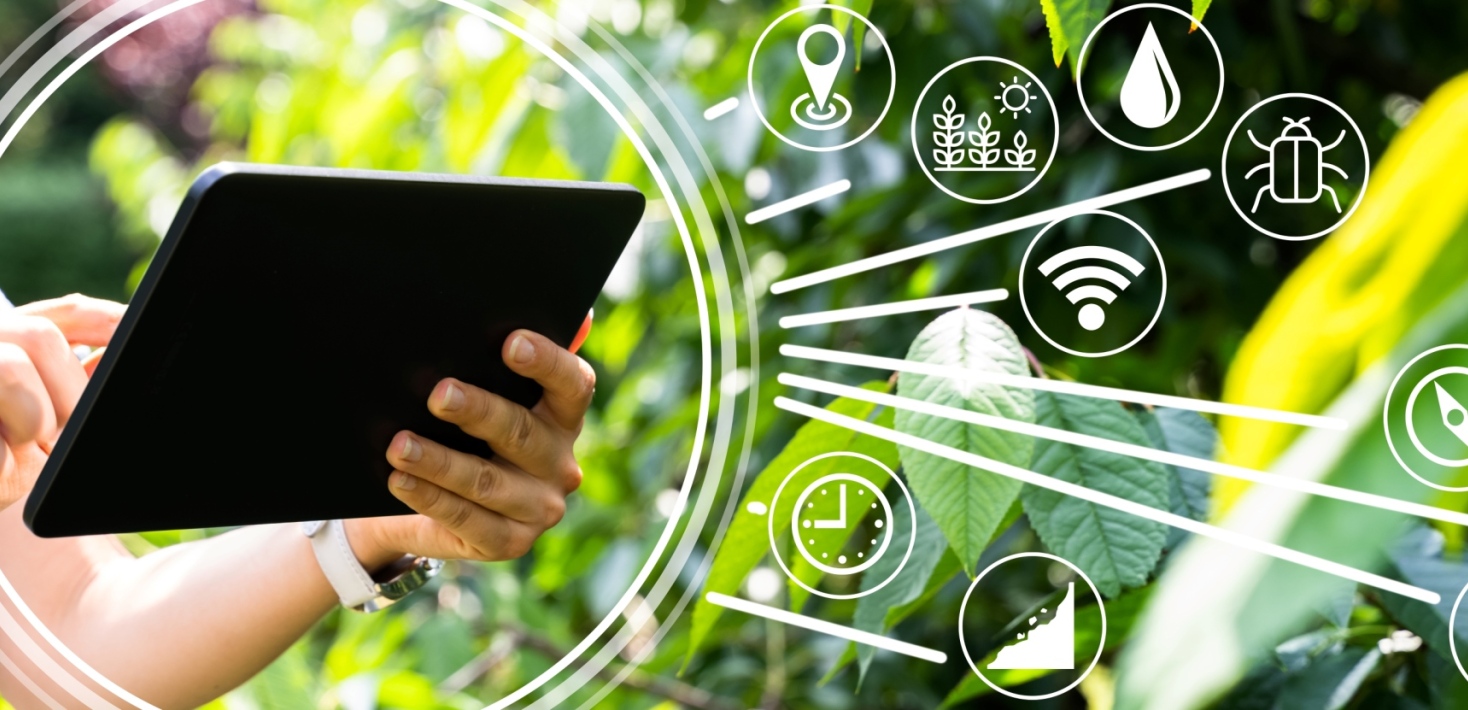 Woman stands among plants and holds a reading tablet.