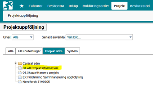 Projektinformation