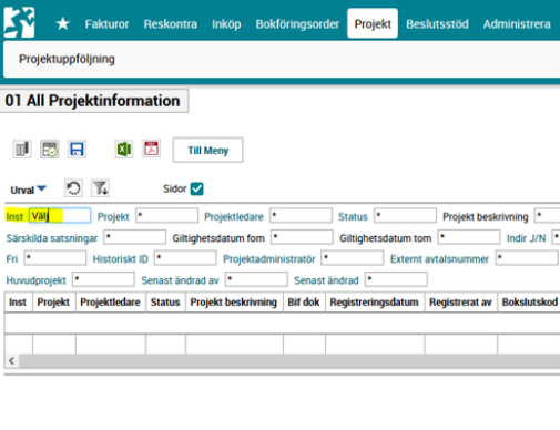 Projektinformation