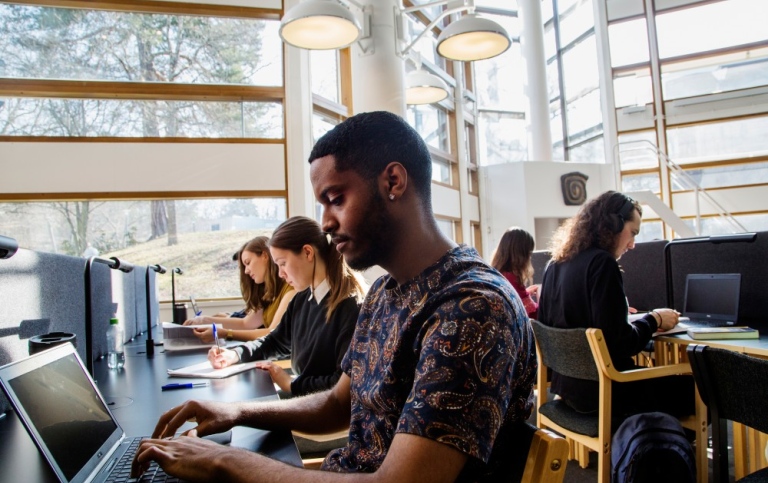 Students studying in the library.