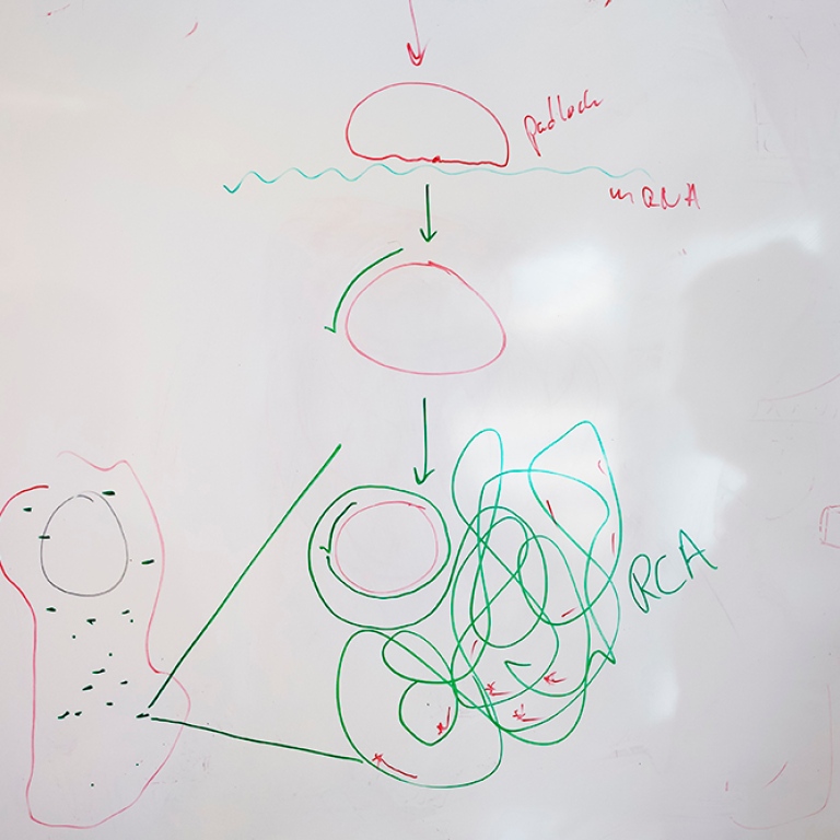 Teckning av en hänglåssond på whiteboard