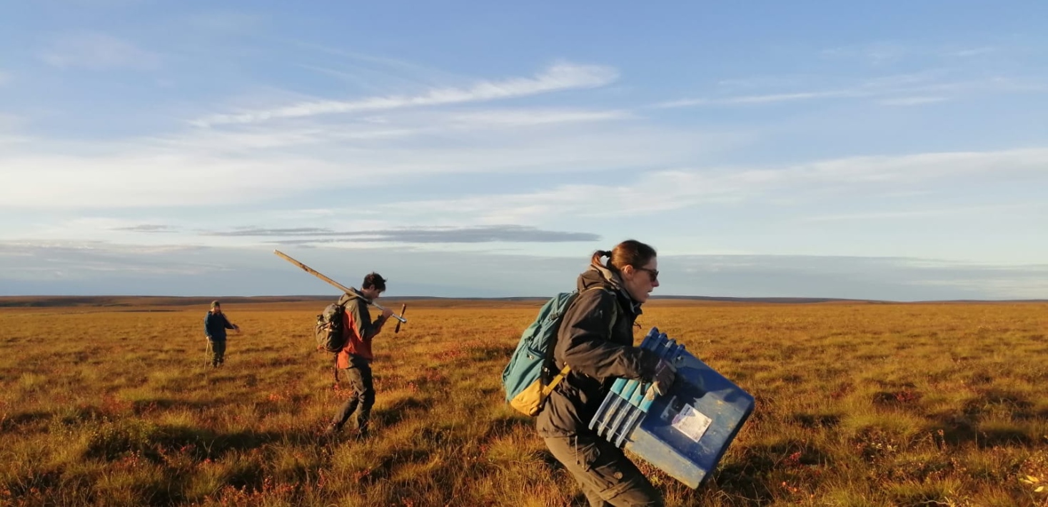 Field work in the Arctic