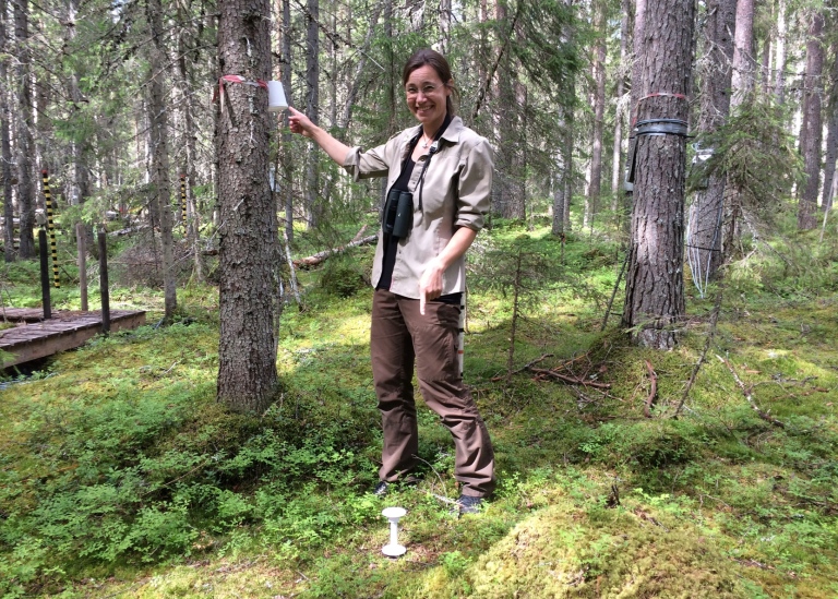 Caroline Greiser, förste författare till studien, i den boreala skogen i Sverige, där hon också stud