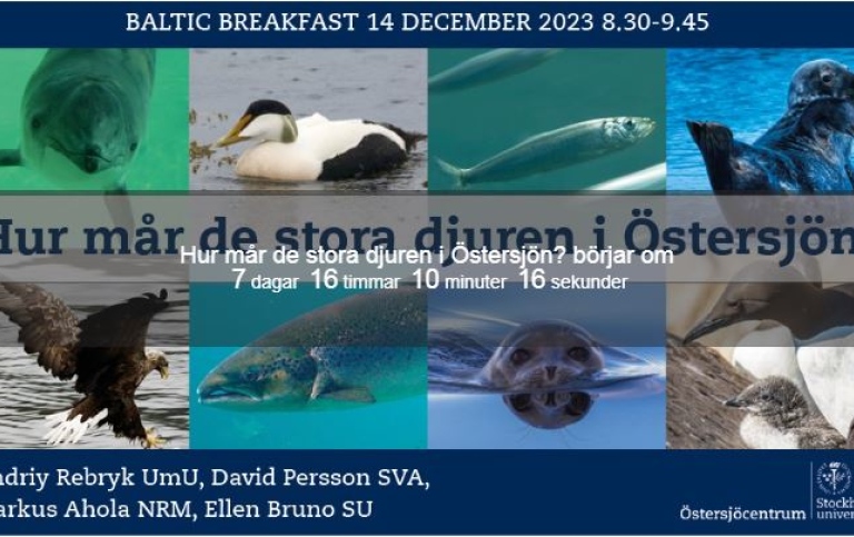 Baltic Breakfast julspecial