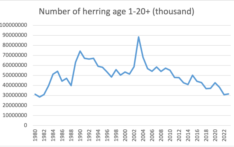 Number of herring age 1-20+
