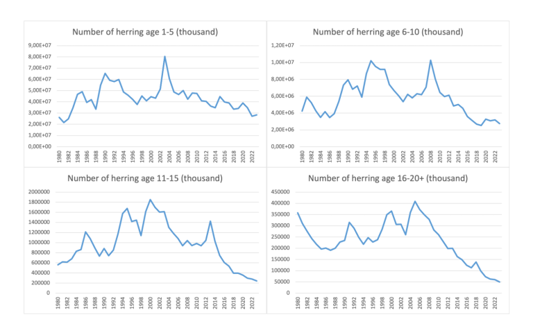 numeber of herring, four graphs