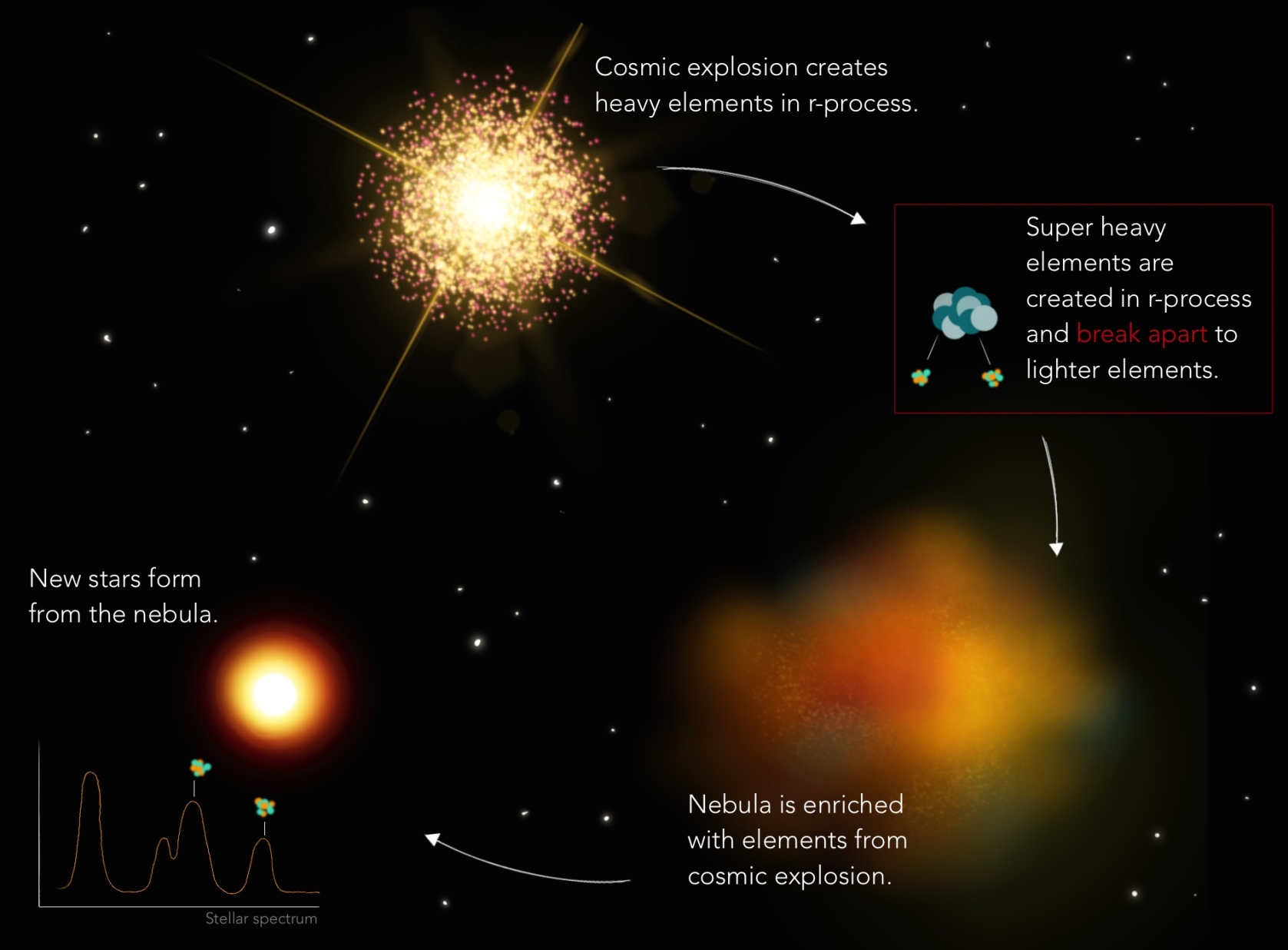 Astronomers have succeeded in deciphering the composition of very heavy elements in the universe.