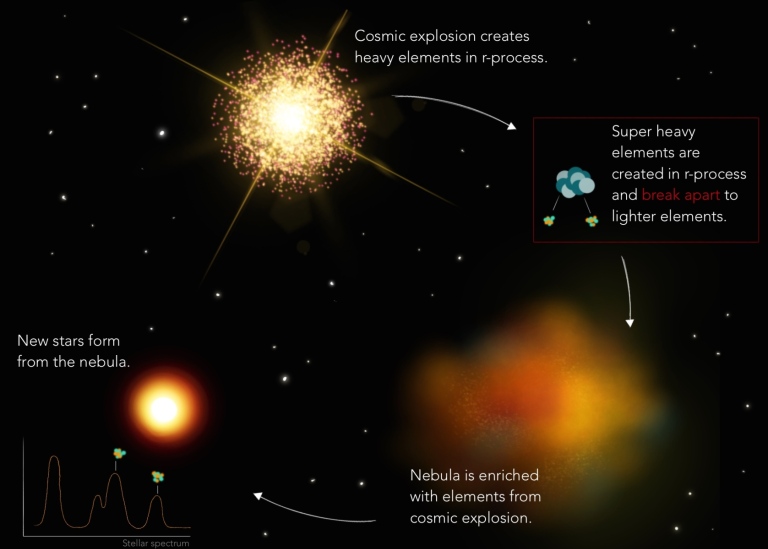 Schematic illustration of the element cycle in stars