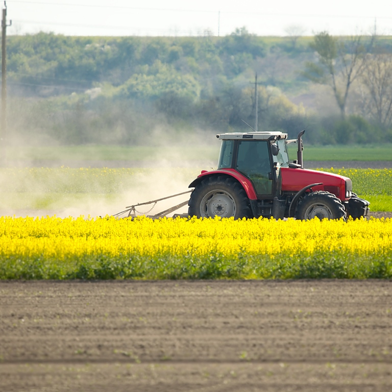 Tractor in field