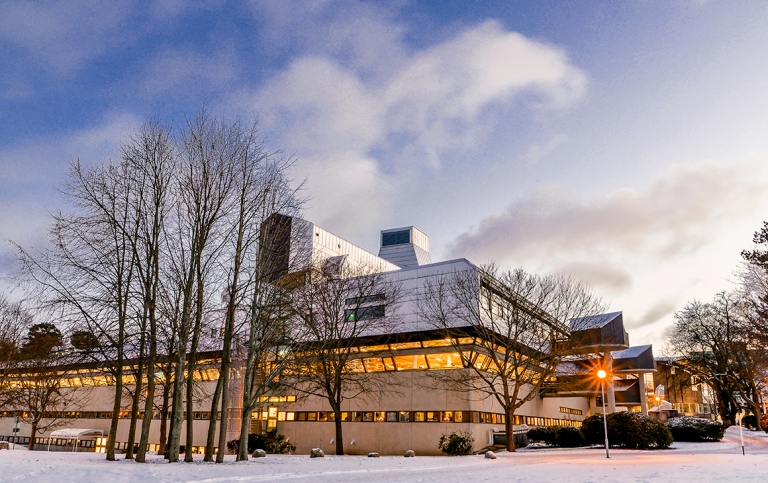 Karusell: bibloteket vinter