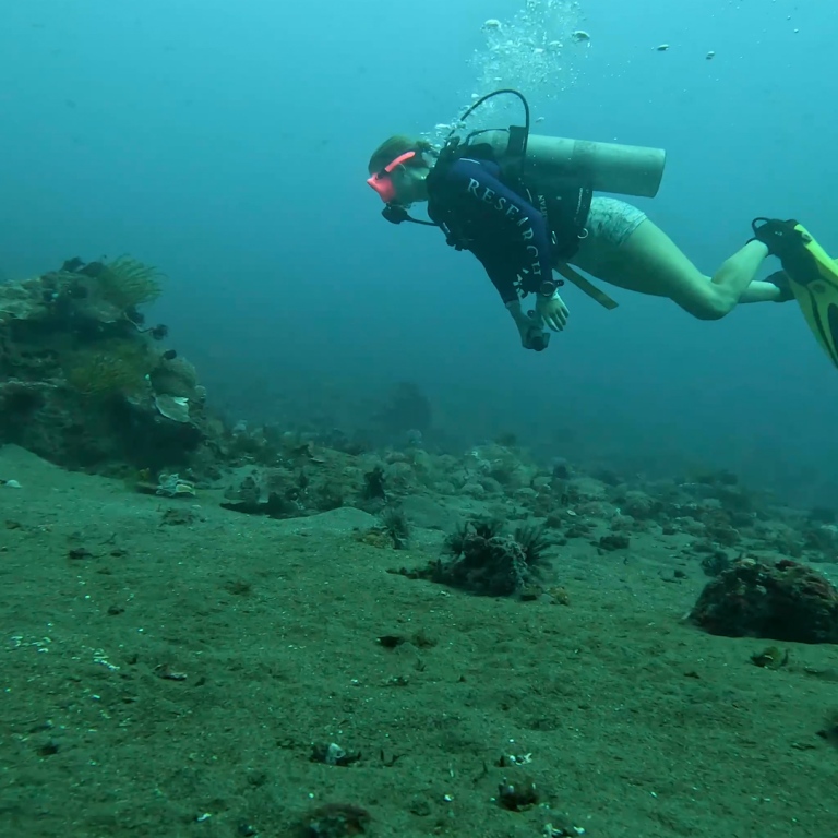 A researchers exploring the sea underwater