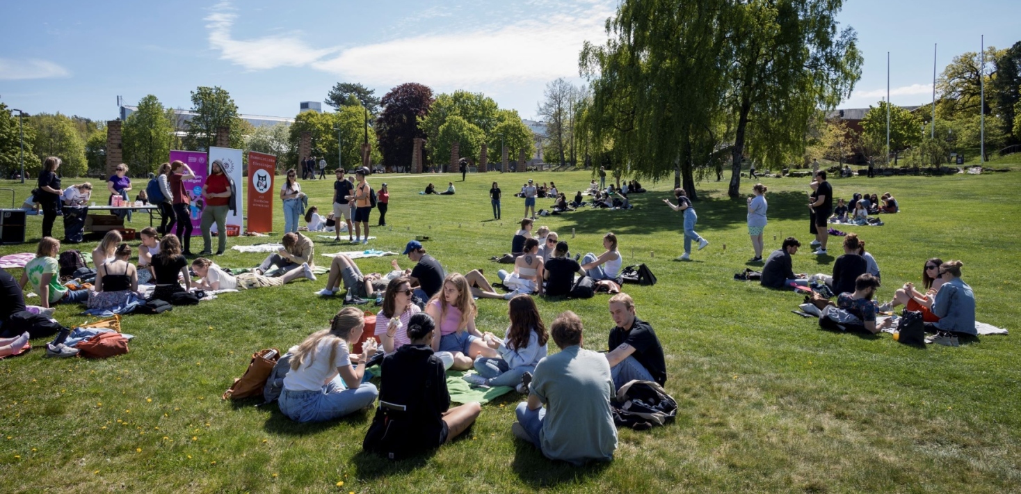 Studenter sitter på Campus Frescatis gräsmatta en sen vårdag.