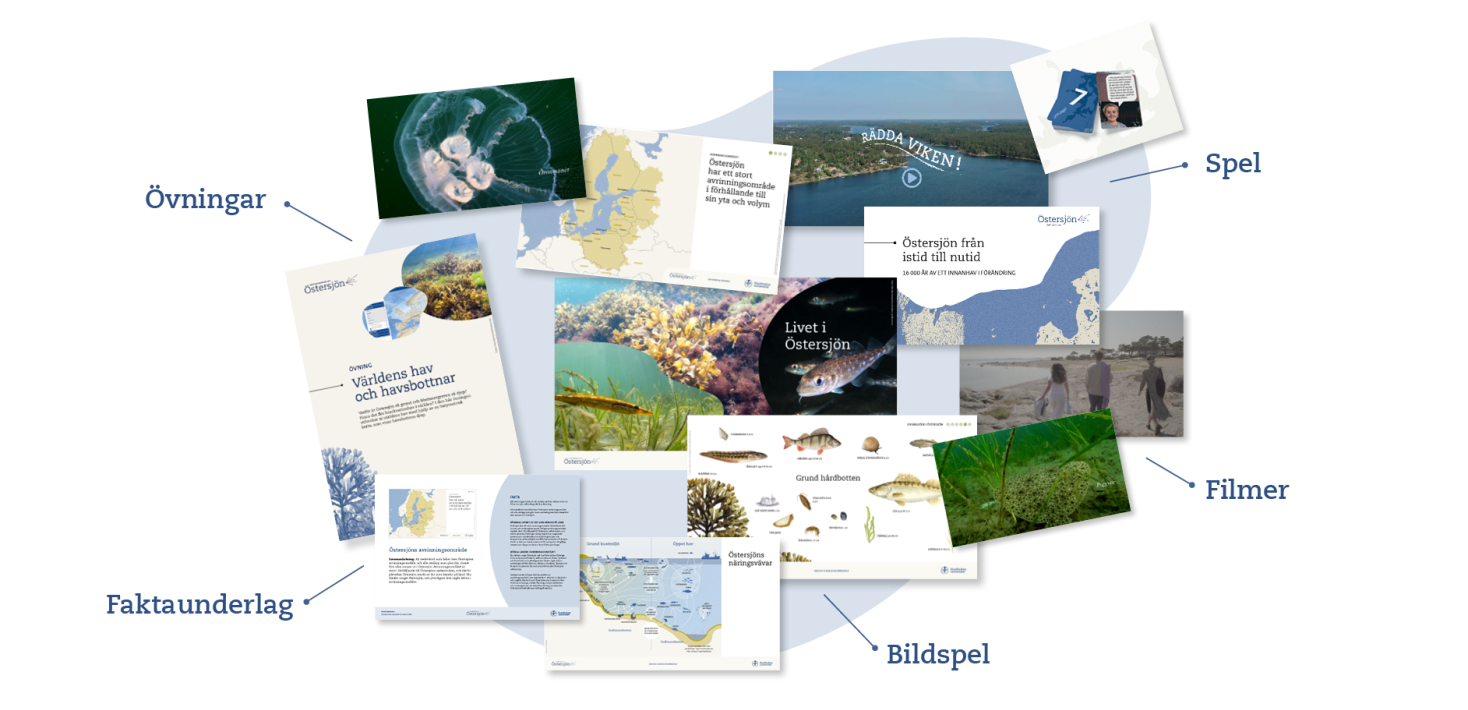 Ett urval av exempelbilder och texter från lektionsbanken visas