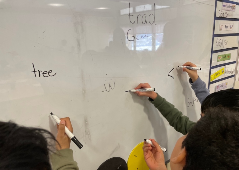 Barn skriver ordet träd på flera språk, på whiteboardtavlan