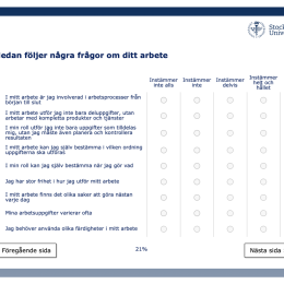 Enkäten i Survey & Report (utdrag).